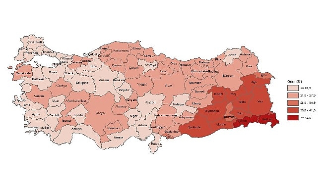 Tüik:  Yükseköğretim mezunlarının oranı 25 yaş ve üzeri nüfusta %24,6 oldu