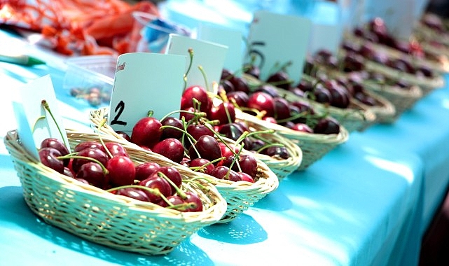 Bornova'da Kiraz Festivali heyecanı